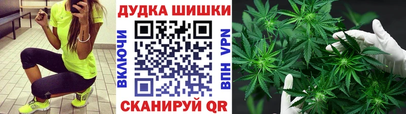 Шишки марихуана гибрид  купить закладку  Ветлуга 